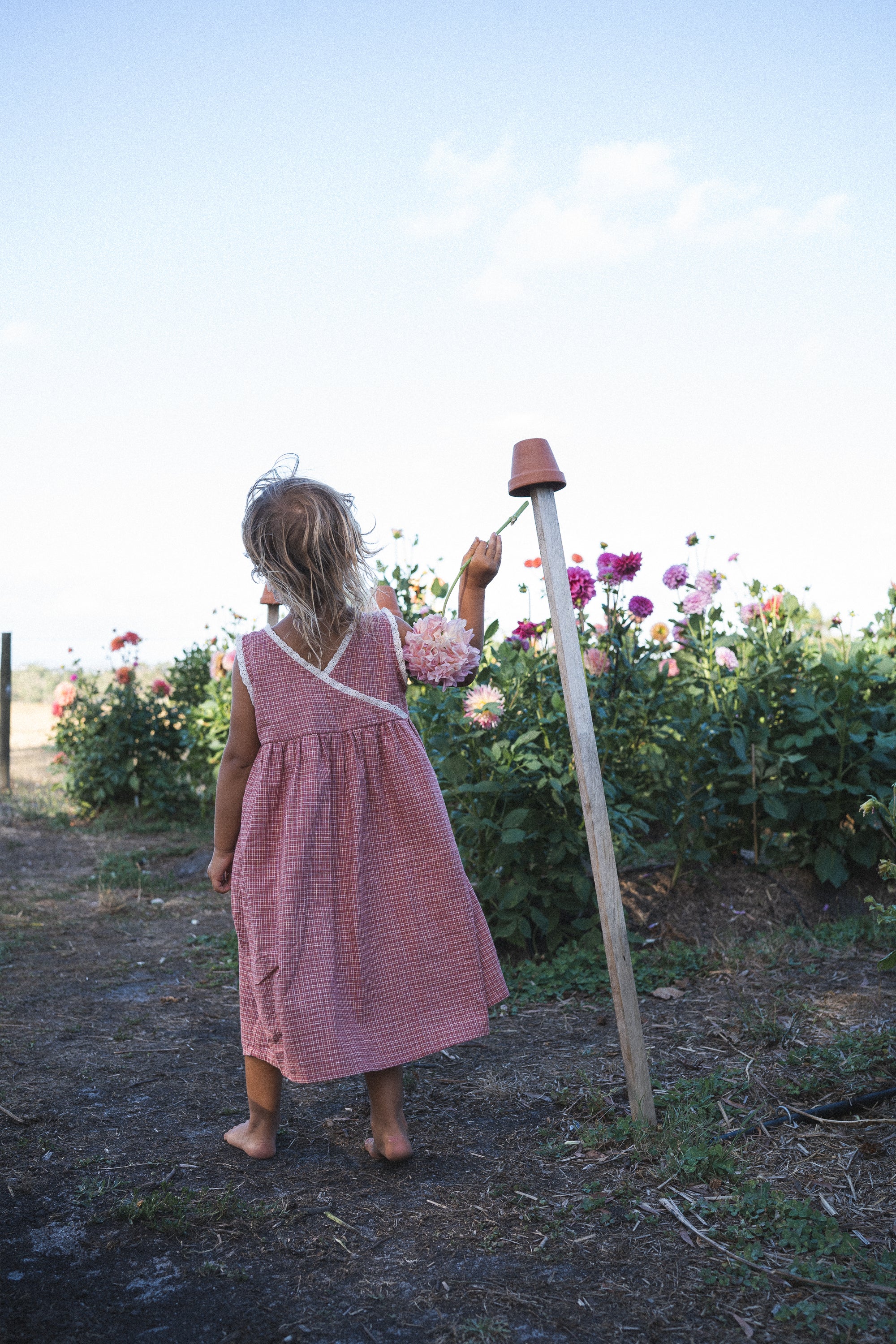 Eden Dress | Red Plaid