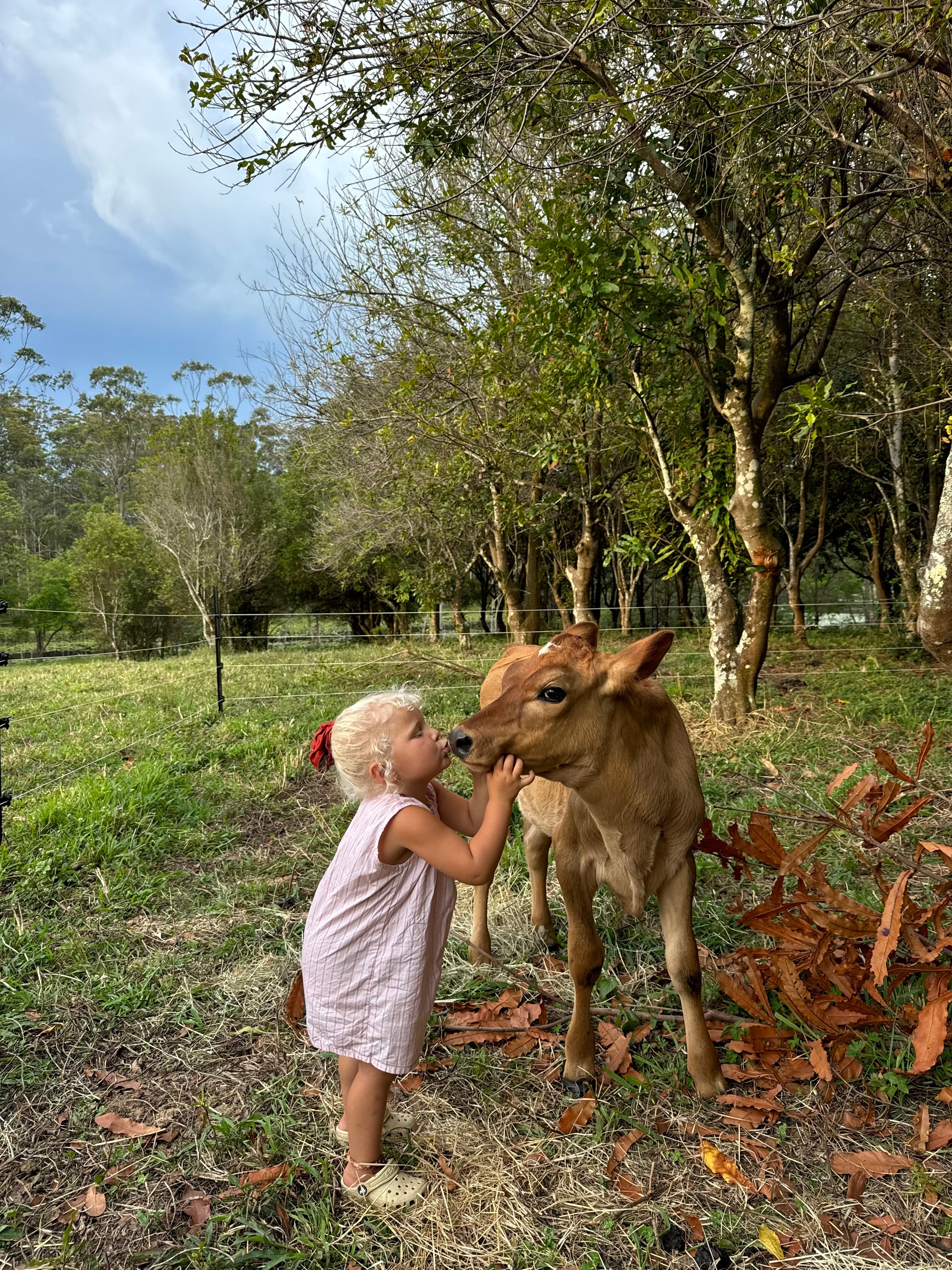 Sadie Overalls | Pink Stripe