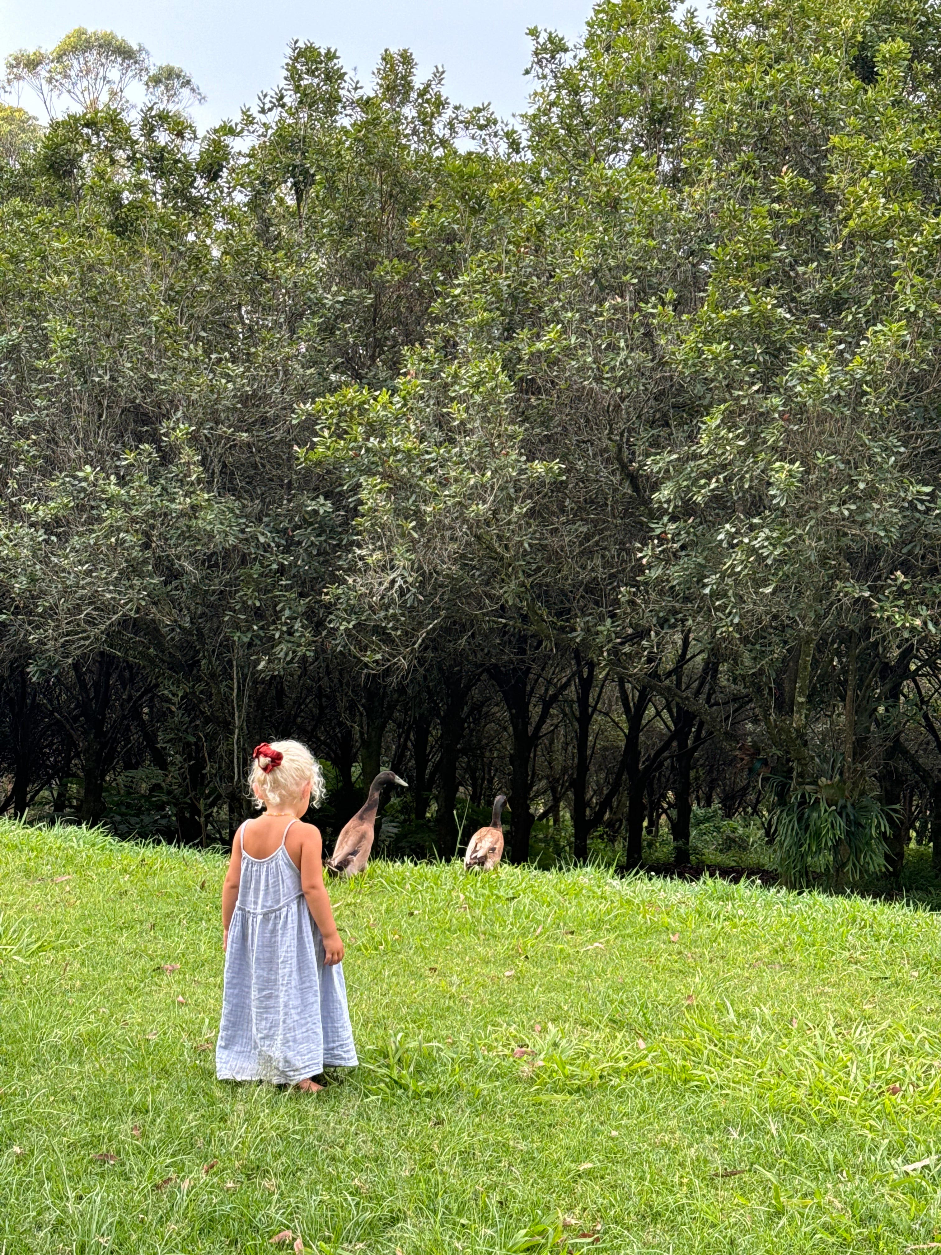 Darcy Dress | Pale Indigo