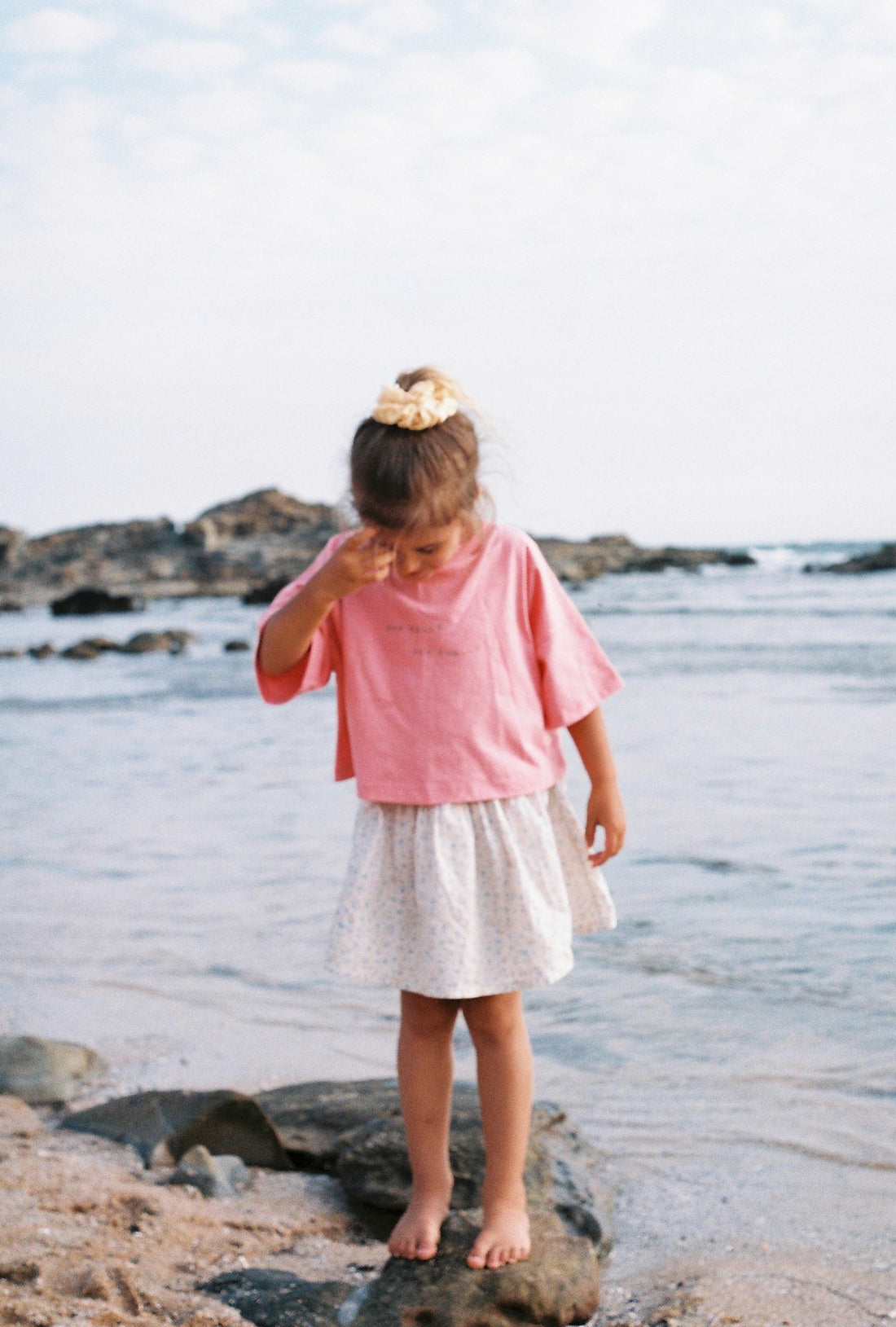 Sea Shells Crop Tee | Peony