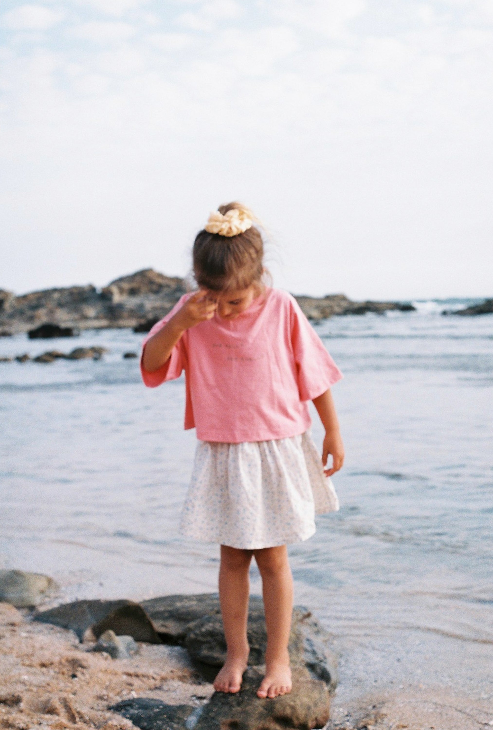 Sea Shells Crop Tee | Peony