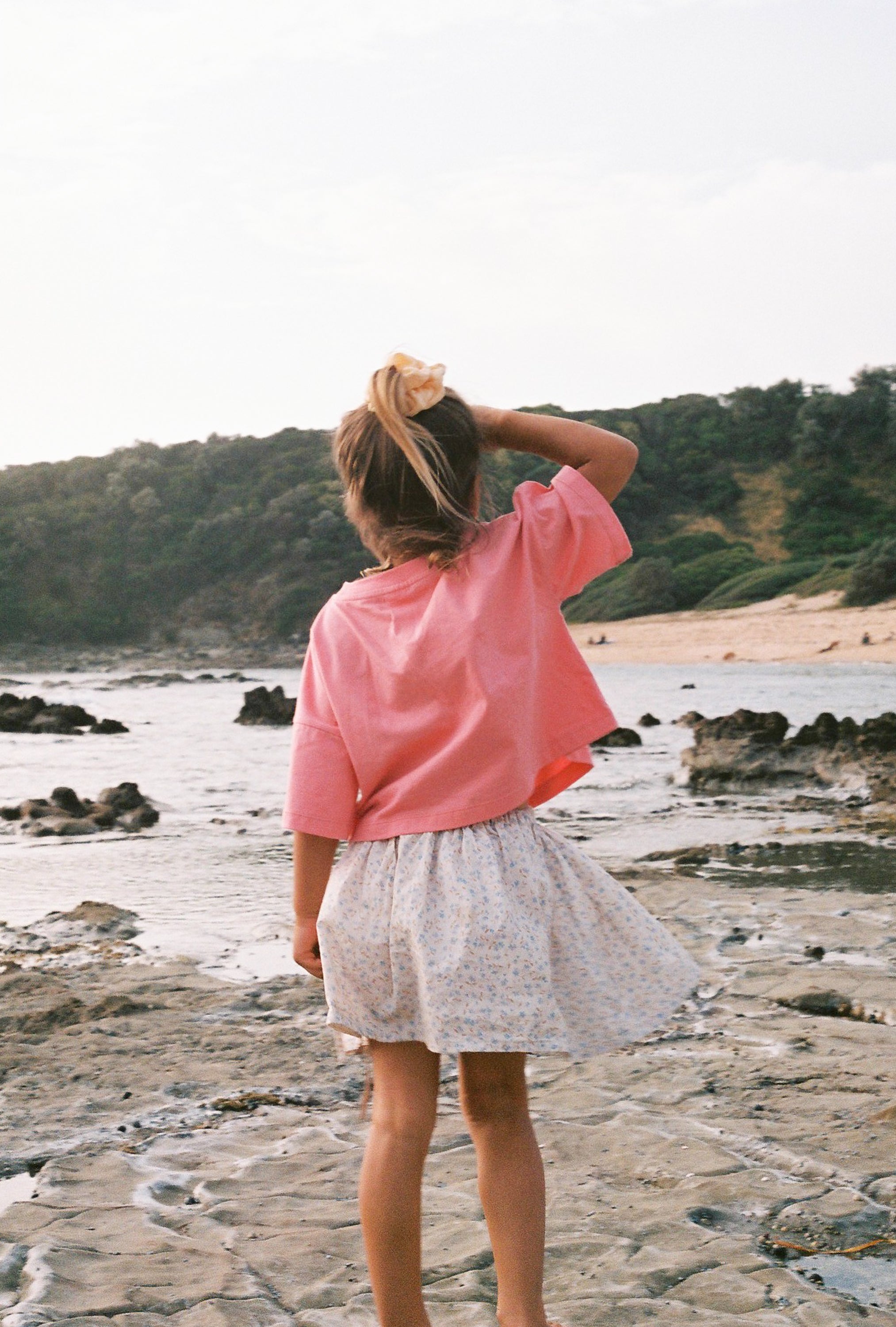 Sea Shells Crop Tee | Peony