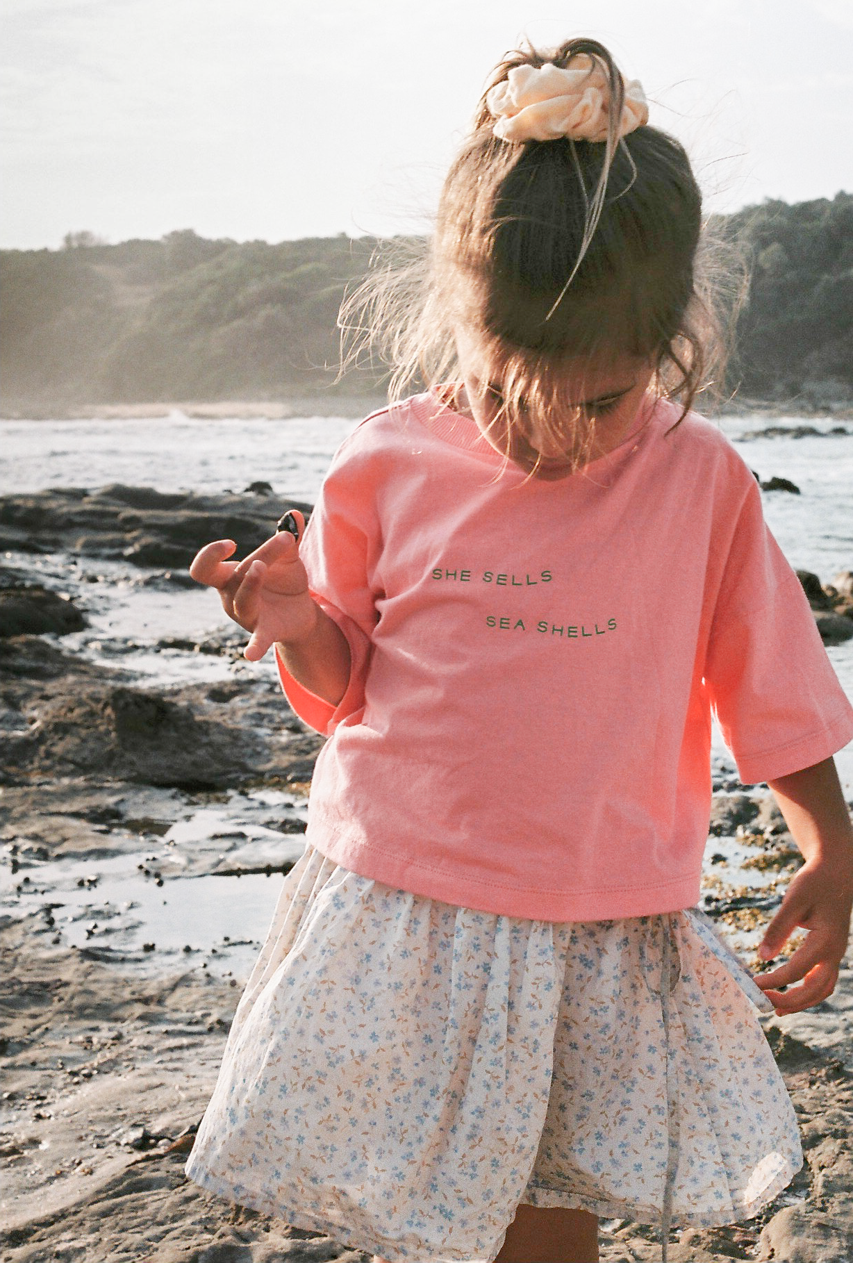 Sea Shells Crop Tee | Peony