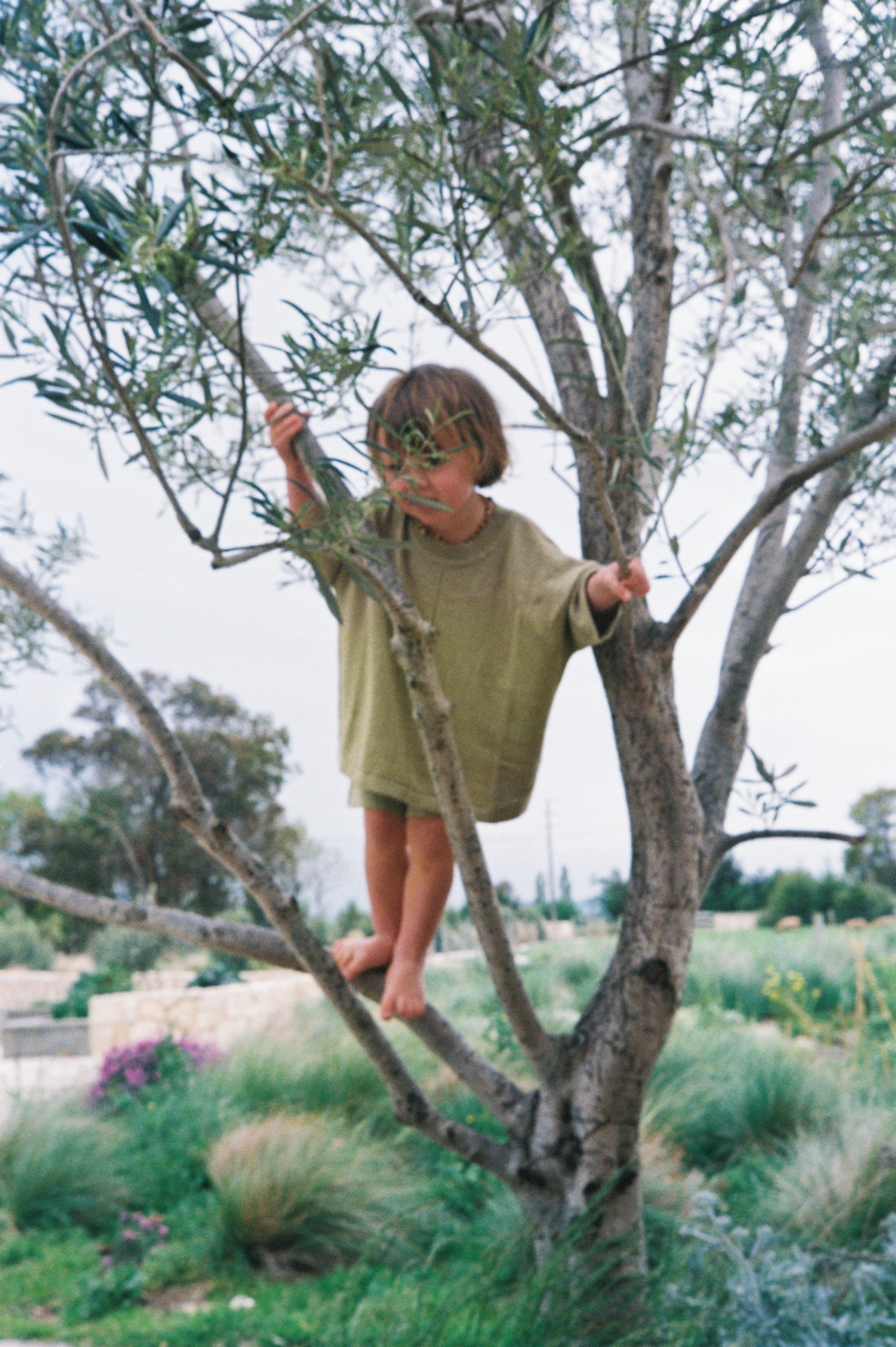 boy climbing tree wearing cotton linen blend knitted t-shirt and shorts in green by Illoura the label