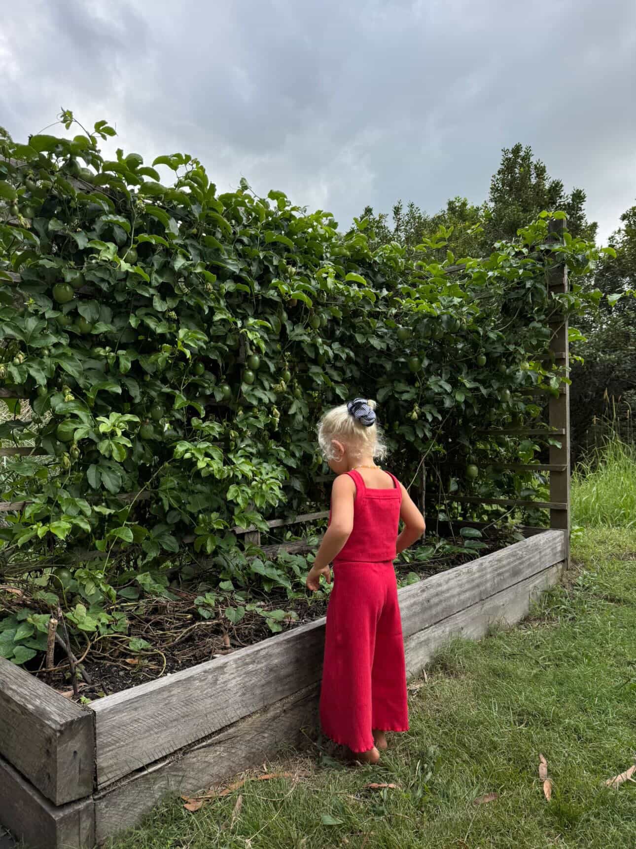 Rib Pants | Red