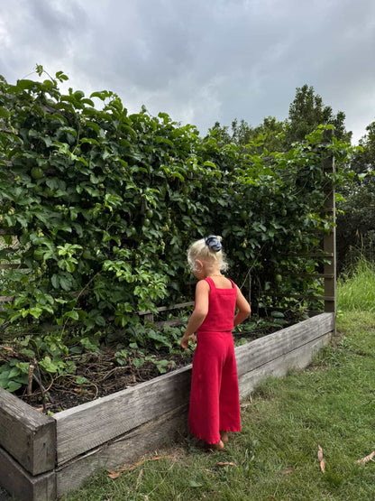 Rib Pants | Red
