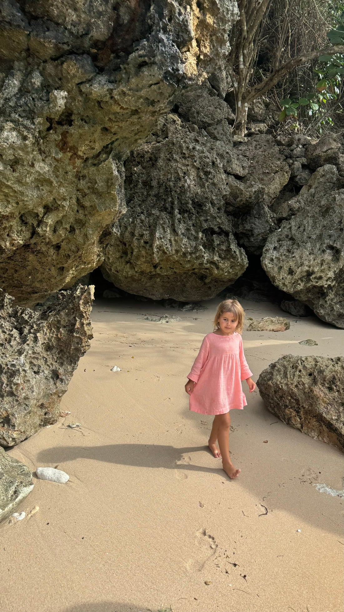 Koa Dress | Flamingo