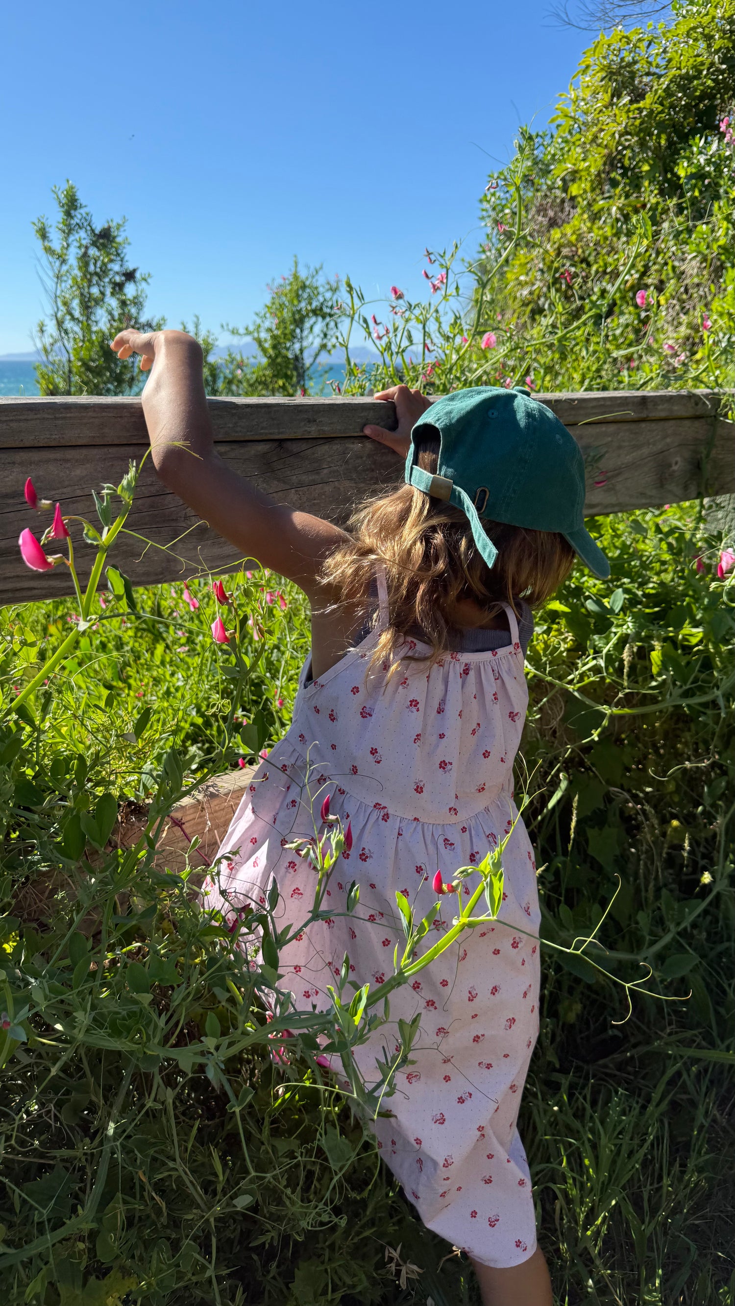 Darcy Dress | Ditsy Meadow