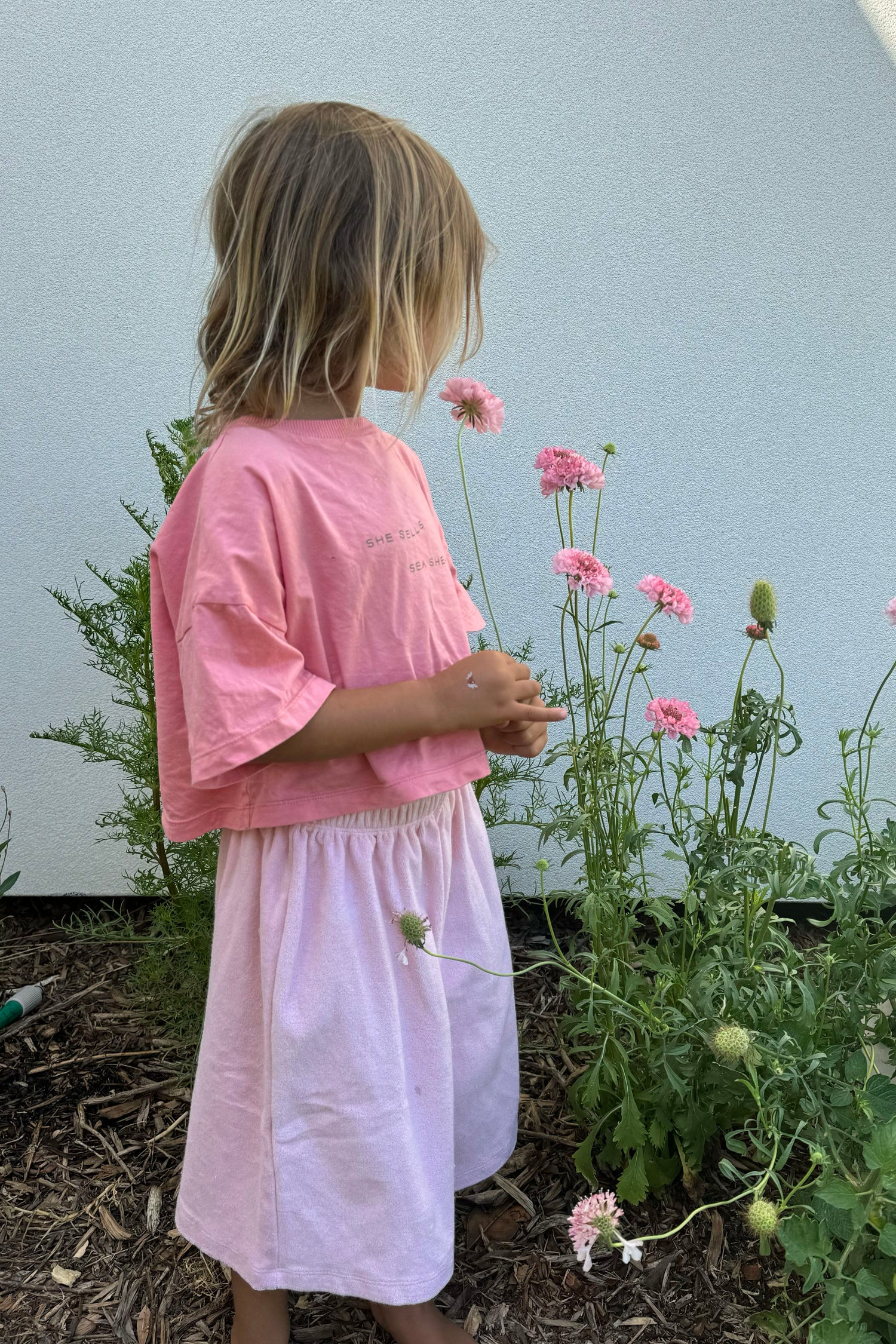 Sea Shells Crop Tee | Peony