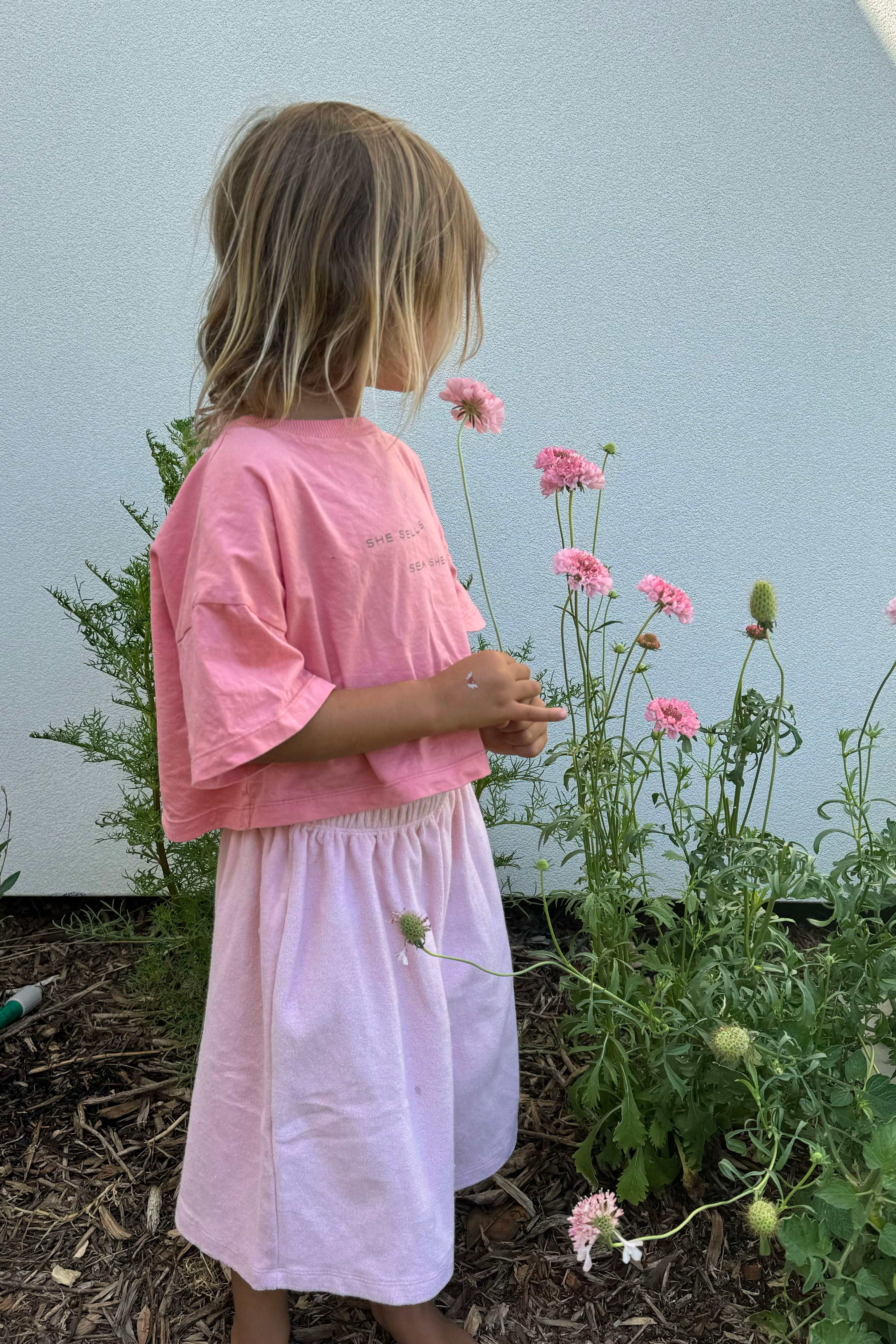 Sea Shells Crop Tee | Peony