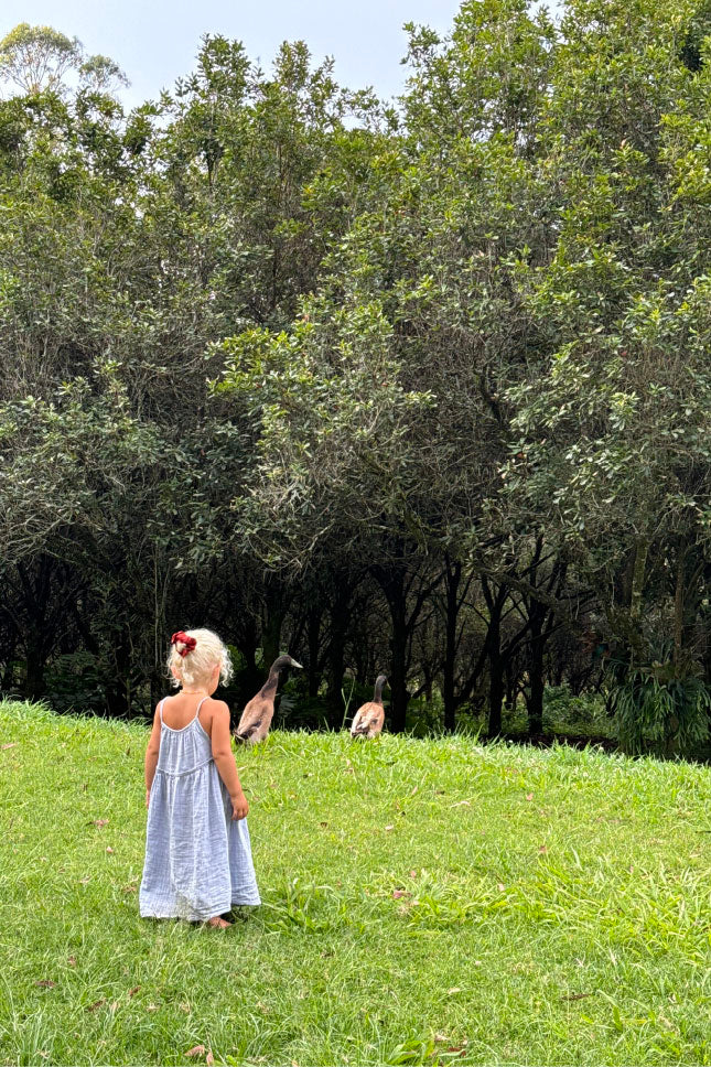 Darcy Dress | Pale Indigo