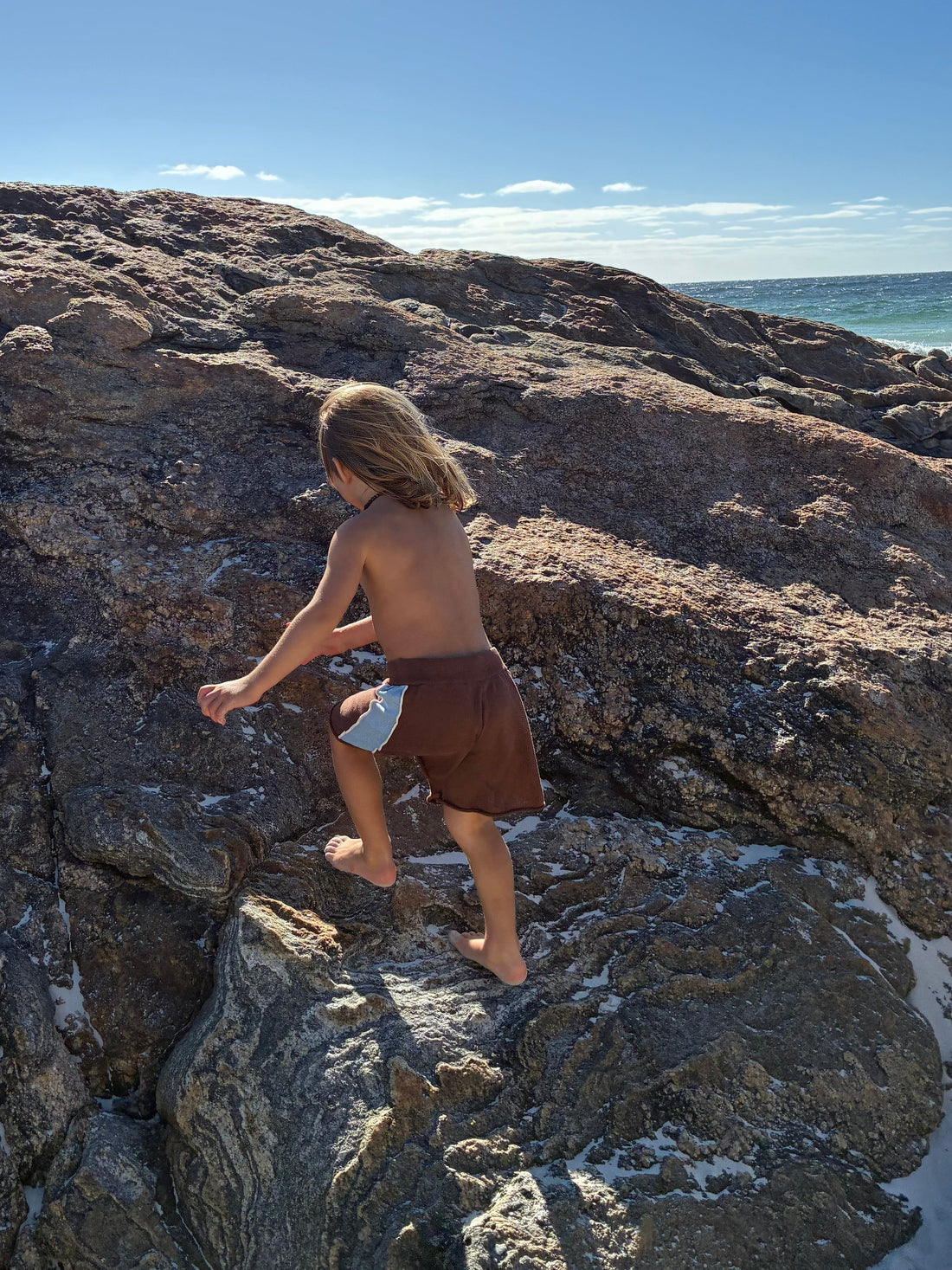 Lounge Shorts | Choc Contrast