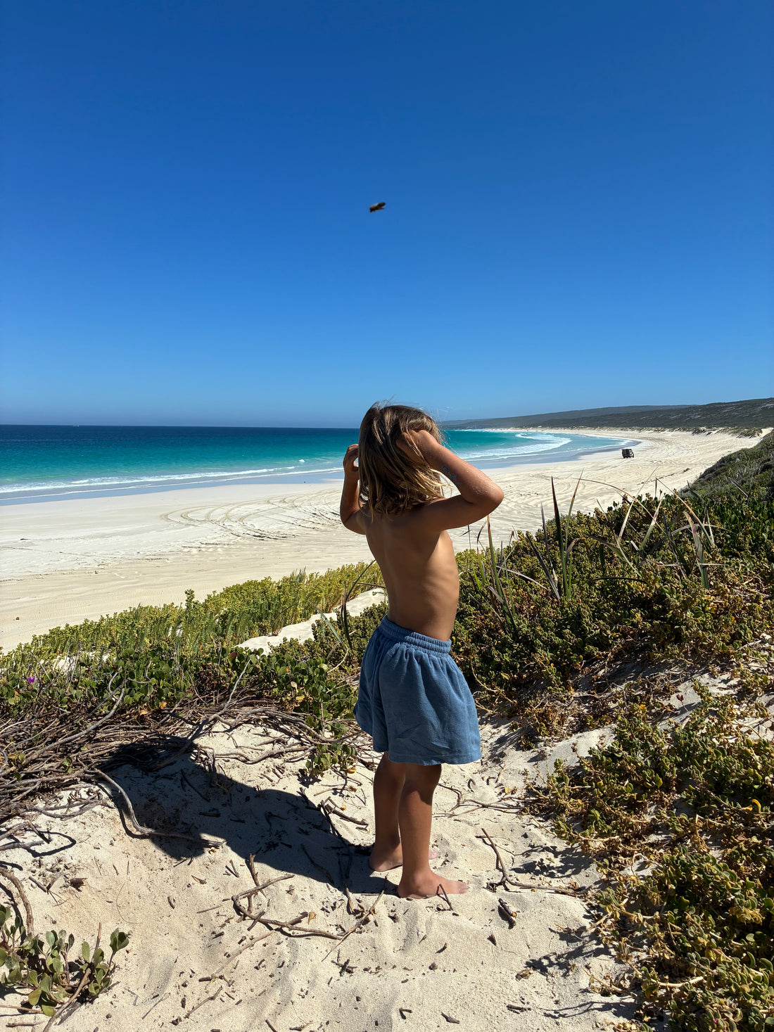 Thea Shorts | Ocean Terry