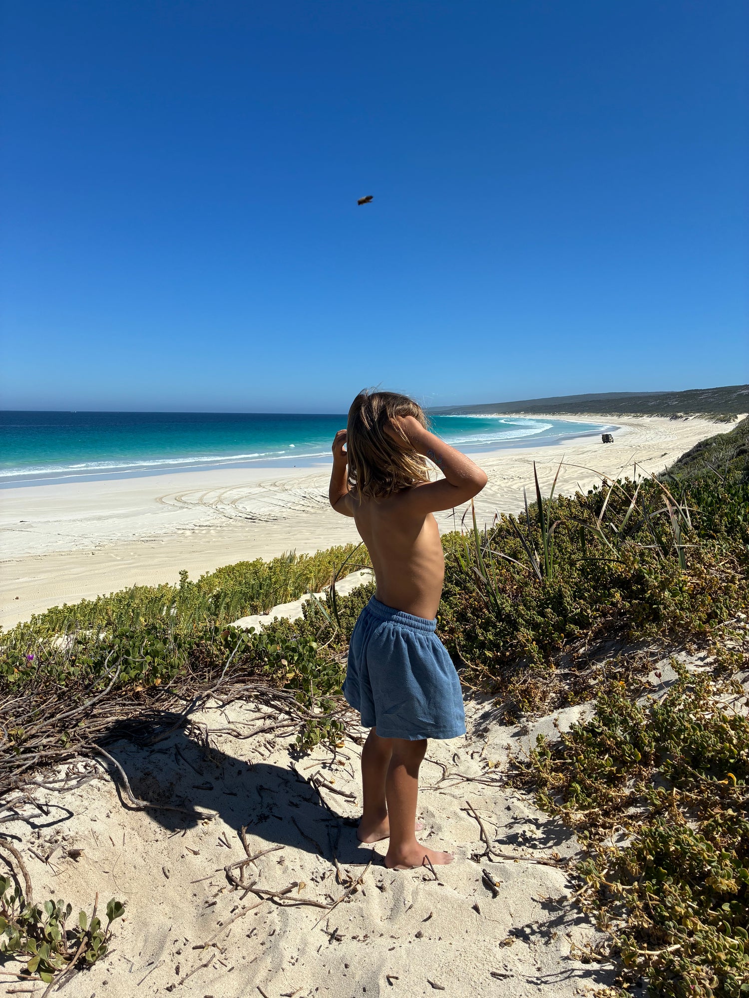 Thea Shorts | Ocean Terry