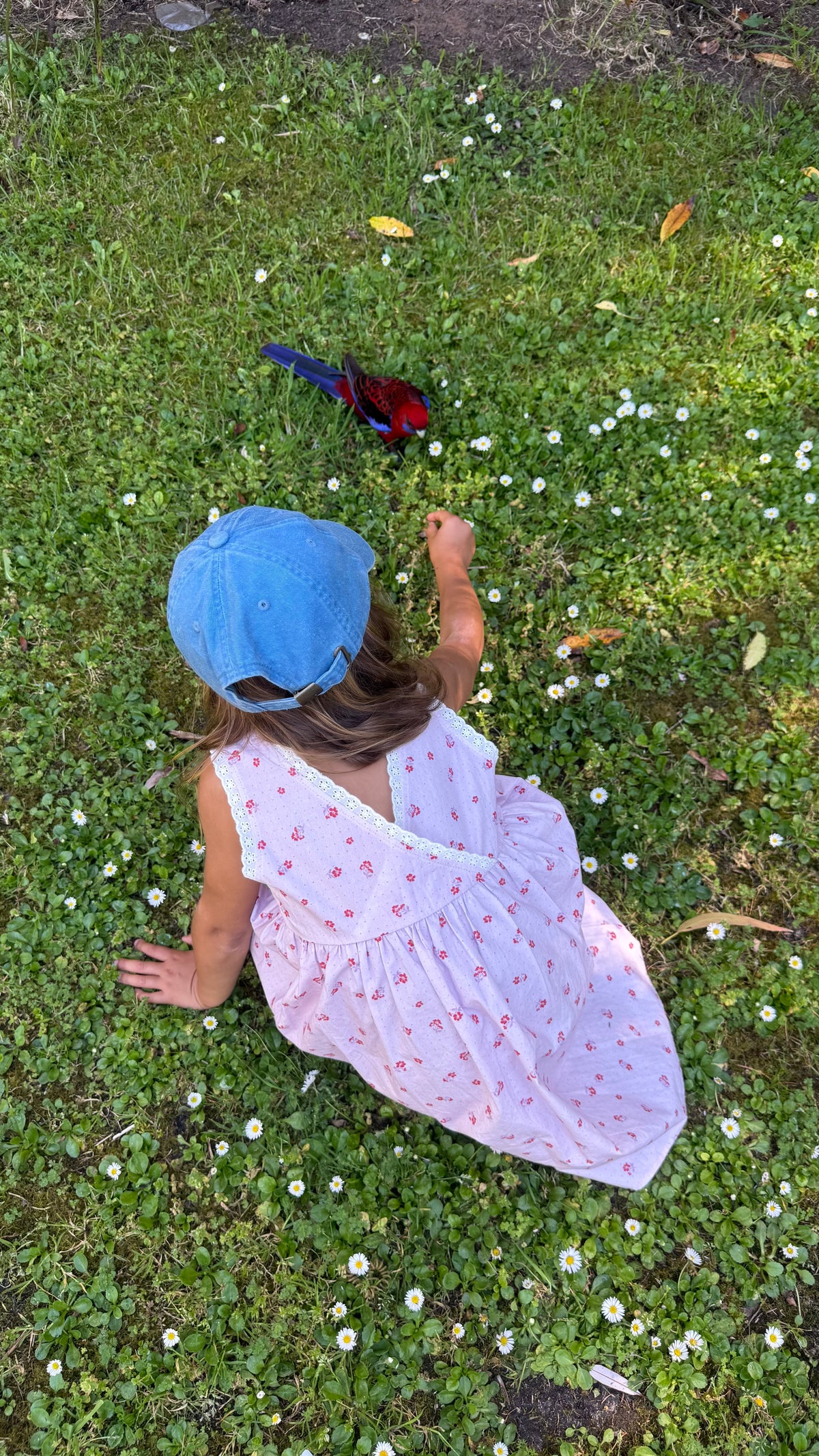 Eden Dress | Ditsy Meadow