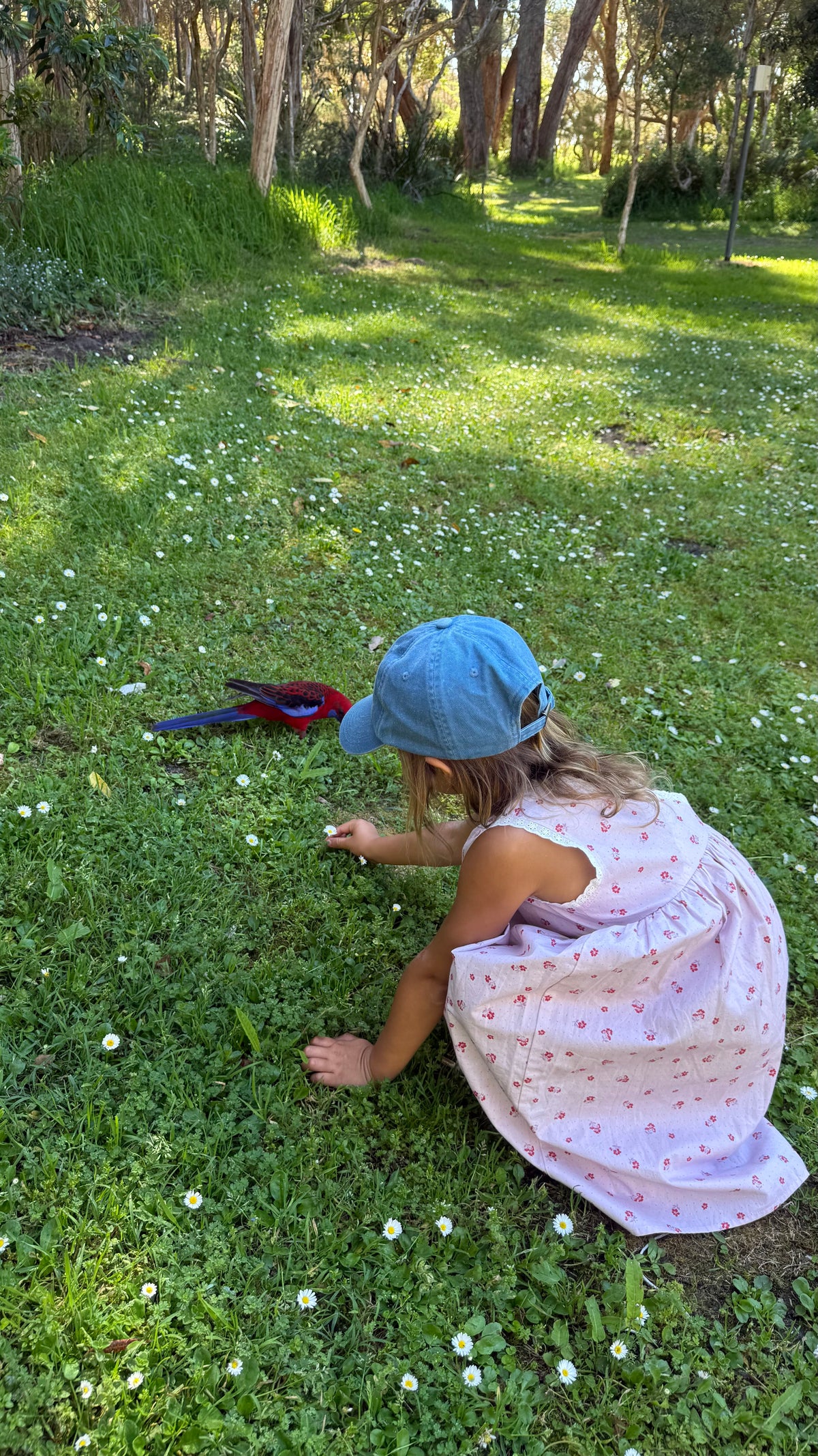 Eden Dress | Ditsy Meadow